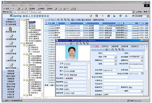 人力資源管理軟件的技術規范與技術轉讓